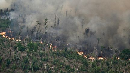 Un incendie ravage la forêt à Labrea (Brésil), le 20 août 2024. (EVARISTO SA / AFP)