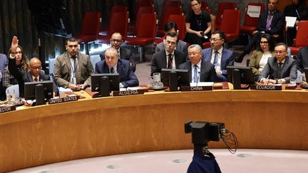 L'ambassadeur américain adjoint, Robert Wood (à gauche), au Conseil de sécurité de l'ONU, le 20 novembre 2024. (MICHAEL M. SANTIAGO / GETTY IMAGES NORTH AMERICA / AFP)