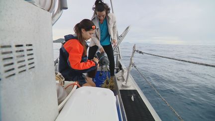 L'Ifremer a réalisé des sorties quotidiennes entre le 5 et le 24 avril en raison d'une canicule marine. (Cédric Michaut / NC la 1ère)
